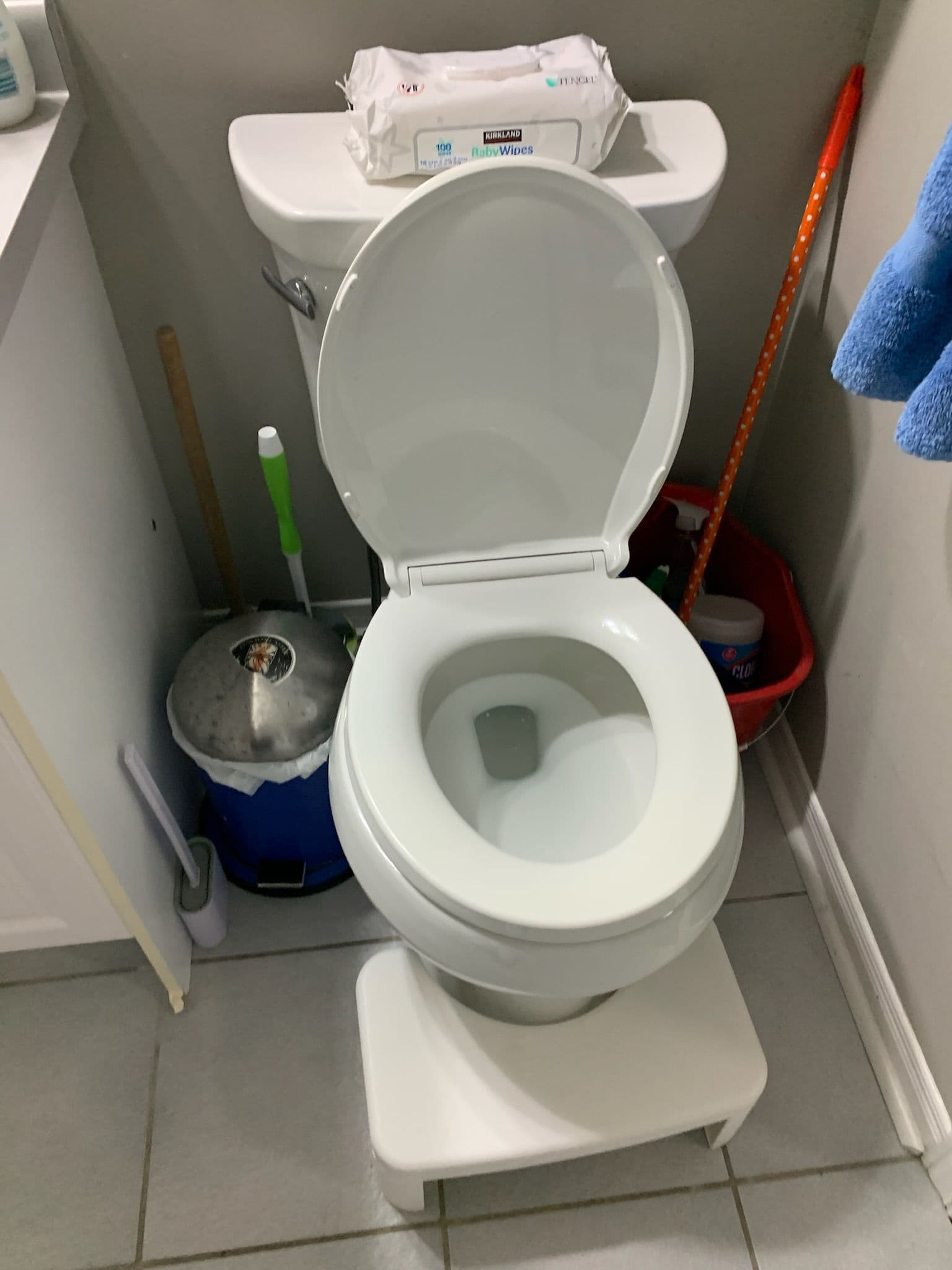 Toilet Deep Clean